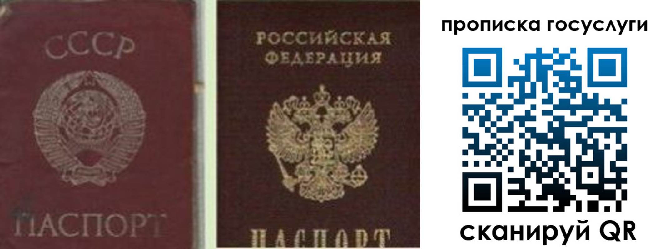 временная регистрация 2025 в Черноголовке